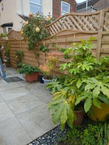 a garden with potted plants and a wooden fence at Angelica place in Portsmouth