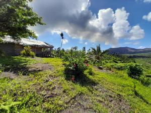 a house on a hill with a grassy field at Yasur View Bungalow and Tree House in White Sands