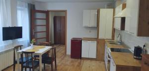 Kuchyňa alebo kuchynka v ubytovaní Apartamenty Po Kominiarzach lll