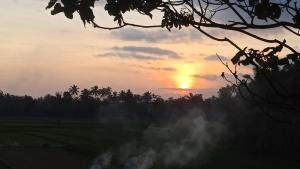 a sunset over a field with smoke in the foreground at Bunga Maliq Bungalow Lombok in Tetebatu