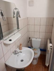 uma casa de banho com um lavatório e um WC em Apartament pod Szlakiem em Korbielów