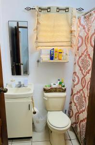 La salle de bains est pourvue de toilettes, d'un lavabo et d'un miroir. dans l'établissement City Garden Apartment, à Belize City