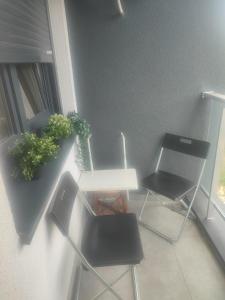 a table and chairs in a room with a window at Nirvana SPA Center in Belgrade