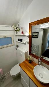 a bathroom with a toilet and a sink and a mirror at Le Buisson in Le Mont-Dore