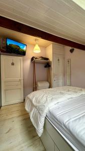 a bedroom with a bed and a tv on the wall at Le Buisson in Le Mont-Dore