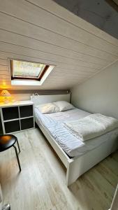 a bedroom with a bed and a skylight at Le Buisson in Le Mont-Dore