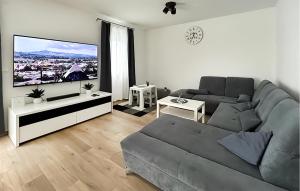 TV a/nebo společenská místnost v ubytování Gorgeous Home In Vodnjan With Sauna