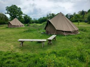 due tende e una panchina in un campo di Gaggle of Geese Pub - Shepherd Huts & Bell Tents a Dorchester