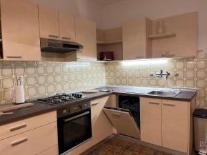 a kitchen with a stove and a sink at Apartment LAGUNA 37 in Izola