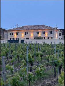 a vineyard with a building and a bunch of vines at Maltus - Le Repaire de Maltus "Gîtes & Spa" in Lussac