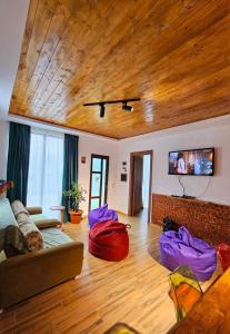 安布羅勞里的住宿－WoodStar/ტყის ვარსკვლავი，带沙发和电视的客厅