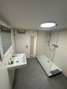y baño con lavabo y ducha. en Ferienwohnung Rottweil Zentrum en Rottweil