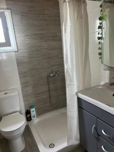 a bathroom with a shower with a toilet and a sink at Kontogiannis Lihas Club in Agios Georgios +11 photos