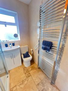 a bathroom with a shower and a toilet and a sink at Mountain View Bungalow in Newcastle