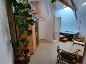 - un salon avec une plante dans l'angle d'une pièce dans l'établissement gîte grange le Kulmino, à Notre-Dame-de-Monts