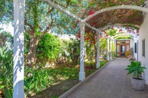 アルクーディアにあるCan Mirのギャラリーの写真