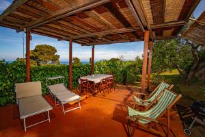 Vonkajšia záhrada v ubytovaní Il Cottage di Villa Sveva, splendida vista mare