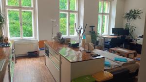 Televízia a/alebo spoločenská miestnosť v ubytovaní Park View - a digital Nomad's dream