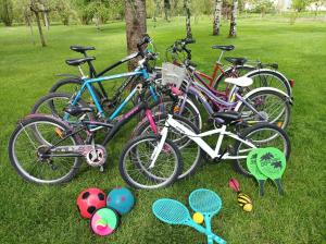 - un groupe de vélos garés sur l'herbe dans un parc dans l'établissement Le logis de LANGE apt Les Aigrettes, à Saint-Hilaire-la-Palud