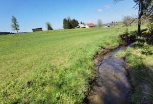 un flux dans un champ à côté d’un champ herbeux dans l'établissement Landhaus auf der Alm, 