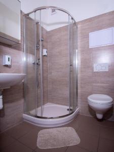 a bathroom with a shower and a toilet and a sink at Aviator Garni Hotel Bratislava in Bratislava