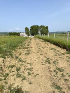 a dirt road in a field next to a fence at RV&TENT camping in Hamallë