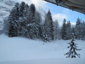 Το MOM - Alpine Boutique Apartments, Grindelwald gletscher, Eiger View Terrace Studio τον χειμώνα