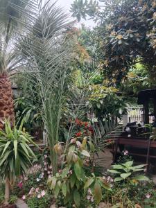 a garden with many different types of plants at Patra Rooms Skala Prinou in Prinos