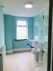a blue bathroom with a toilet and a glass shower at Bosworth street house in Leicester