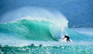 um homem a surfar uma onda numa prancha de surf no oceano em Krui Surfing em Wainapal