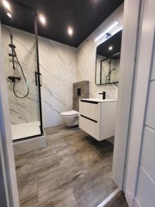 ein Bad mit einer Dusche, einem WC und einem Waschbecken in der Unterkunft Apartament Twardowscy in Sopot