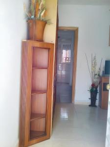 a wooden book shelf with a plant on top of it at 3 bedrooms apartement at Ciudad Real in Ciudad Real