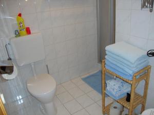 法伊詩特瑙的住宿－Pferdehof Almgut，一间带卫生间和一些毛巾的浴室