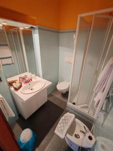 a bathroom with a sink and a shower and a toilet at Hotel Panoramico lago d'Orta in Madonna del Sasso