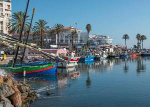 a group of boats are docked in a harbor at Appartement Plage des Arts in Saint-Cyprien
