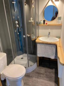 Un baño con ducha, inodoro y lavabo. en Bungalow dans le jardin, en Saint-Étienne