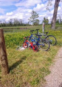 two bikes parked in the grass next to a lake at La Halte du Canal in Luthenay-Uxeloup
