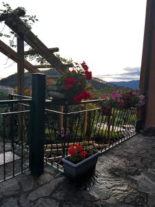 a fence with potted plants and flowers on it at Hotel Meri 1956 Locanda e Cucina in Framura