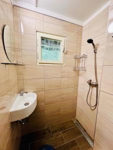 uma casa de banho com um lavatório e um chuveiro em Chaty Vysočina em Polesí