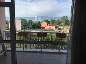 een raam met twee potplanten op een balkon bij Апартамент 170 кв.м за 6-ма, село Ягодово, Пловдивско in Plovdiv