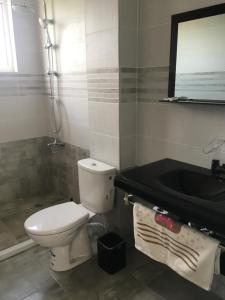 een badkamer met een toilet, een wastafel en een bad bij Апартамент 170 кв.м за 6-ма, село Ягодово, Пловдивско in Plovdiv
