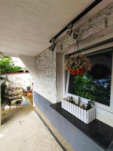 a window of a house with a potted plant at Apartman Monroe in Sarajevo