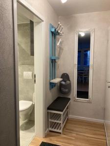 een badkamer met een toilet, een wastafel en een spiegel bij Zur Mühle Lemkenhafen auf Fehmarn in Fehmarn