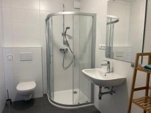 een badkamer met een douche, een wastafel en een toilet bij Apartment Attergautraum 1 in Sankt Georgen im Attergau
