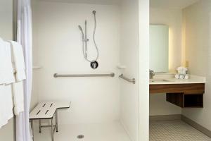 阿爾圖納的住宿－阿爾圖納IHG智選假日套房酒店，带淋浴和盥洗盆的浴室