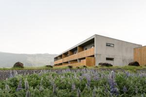 Vík Apartments في فيك: مبنى في حقل مع الزهور الأرجوانية