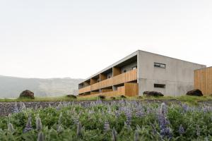 a building in a field with purple flowers at Vík Apartments in Vík