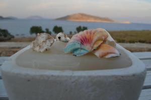 a figurine of a shell and two rocks in a planter at Villa Aristoteles in Halki