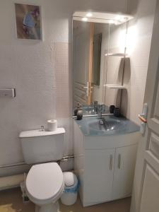 a bathroom with a white toilet and a sink at Studio en RDC à LAMALOU LES BAINS in Lamalou-les-Bains