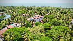 an aerial view of a house in a forest of palm trees at Daffodils Guest House Calangute in Calangute